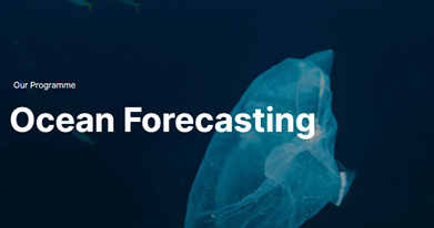 Ocean Forecasting System from FIO